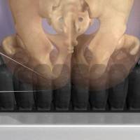 article97_image4_original