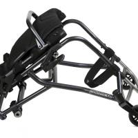 Panthera_Y3_1250_5_original