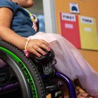 article262_image5_original