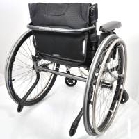 panthera_S3_1250_4_original